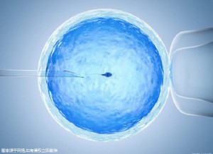 代怀双胞胎生男孩试管婴儿中心