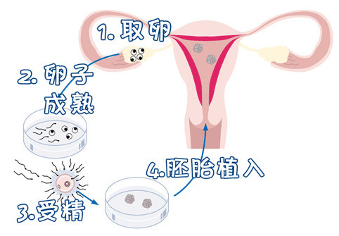 周副主任医师